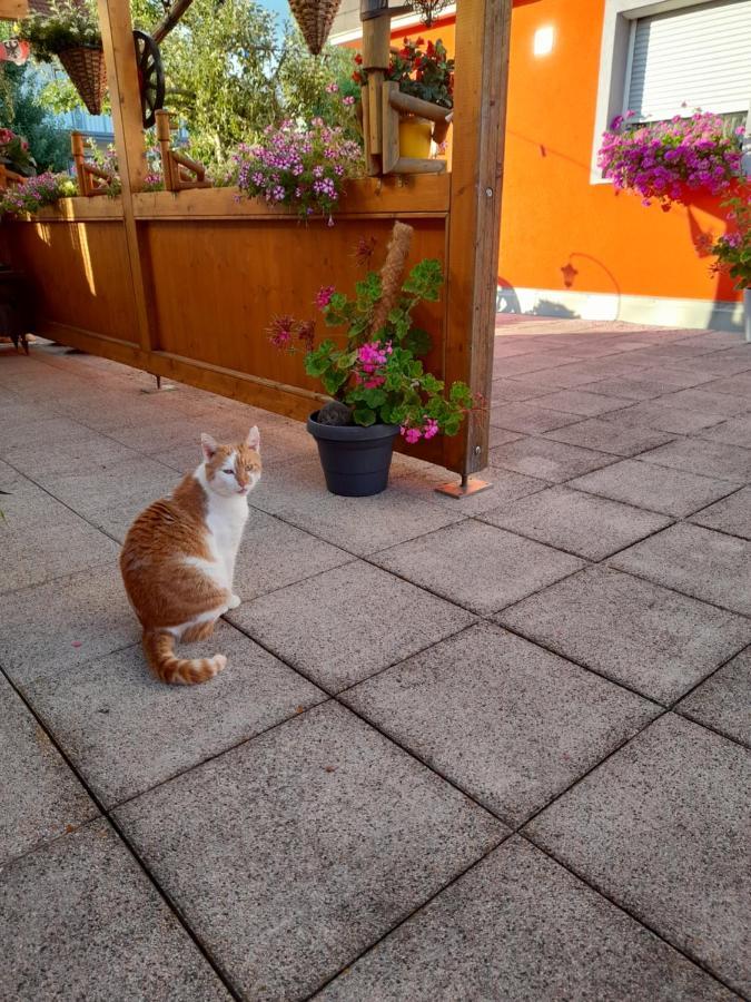 Trollenhof Daire Wellendingen Dış mekan fotoğraf
